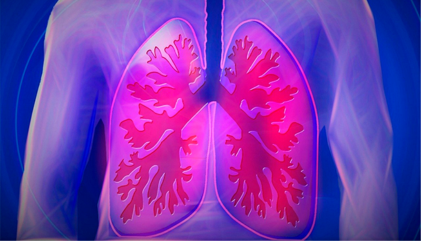 pulmoes_site